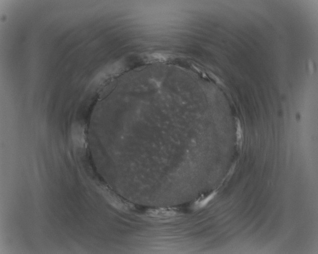 X0000078290331200611101115