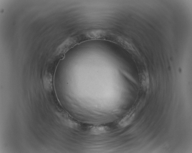 X0000078290332200611101114