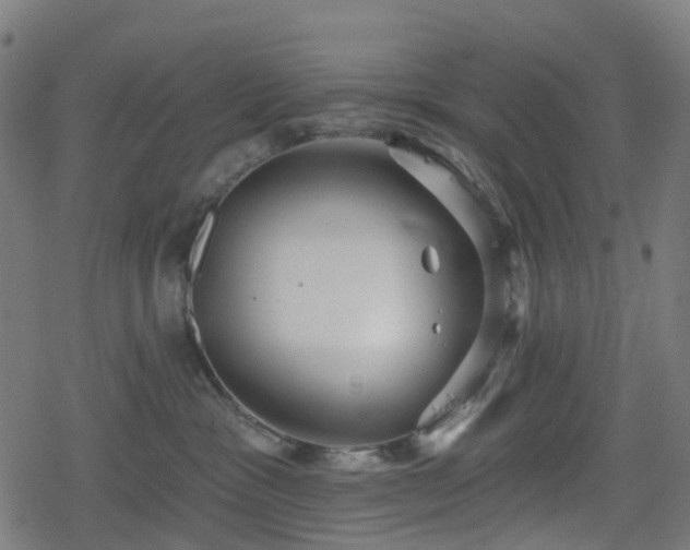 X0000078290333200611101114