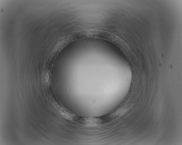 X0000078290336200611101114