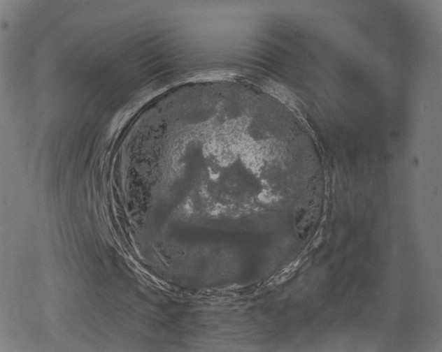 X0000078290337200611101114