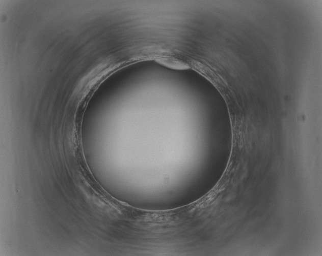 X0000078290338200611101114