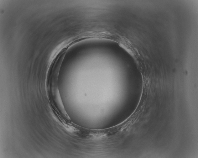 X0000078290340200611101114