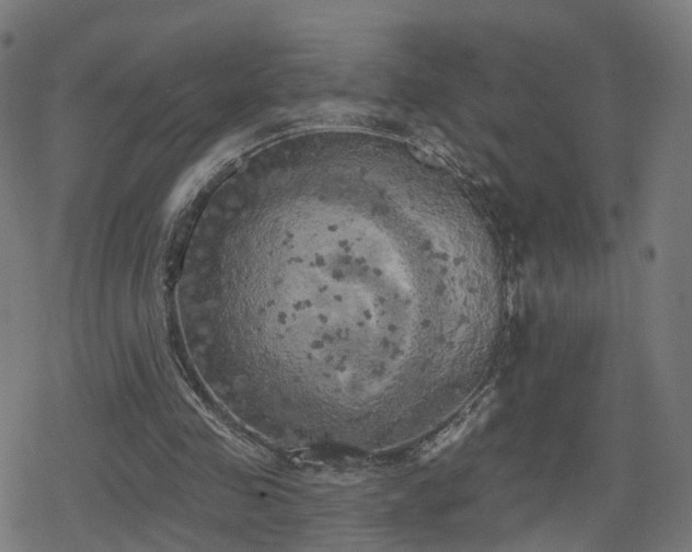 X0000078290341200611101114