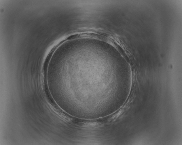 X0000078290342200611101114