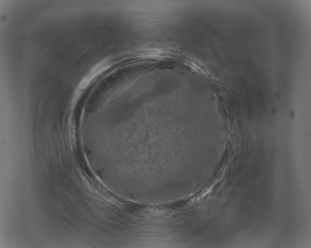 X0000078290343200611101114