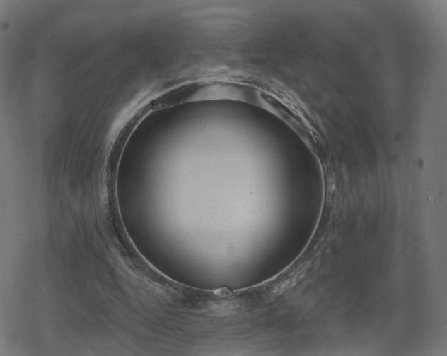 X0000078290344200611101114