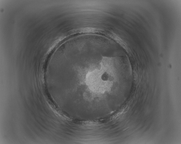 X0000078290347200611101114