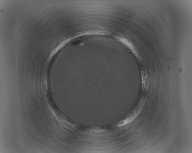 X0000078290348200611101114