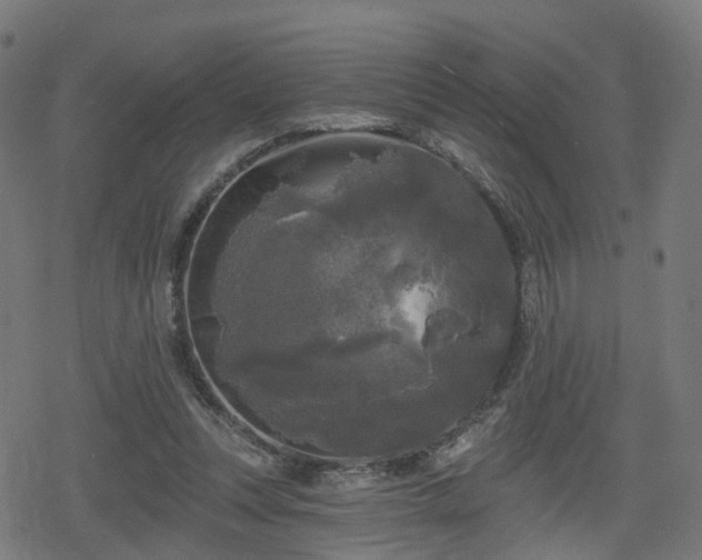 X0000078290351200611101114