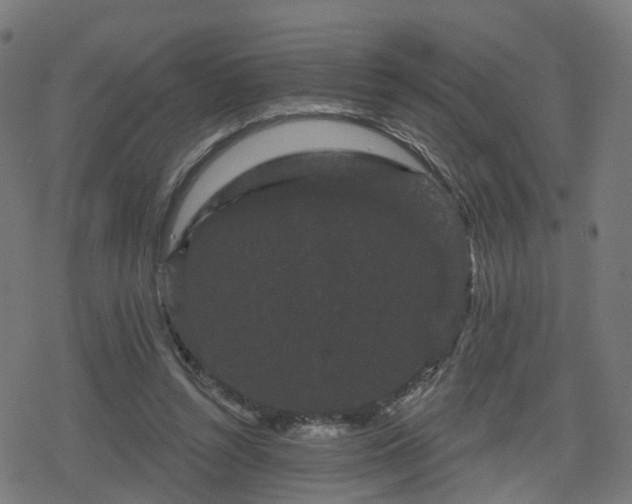 X0000078290352200611101114