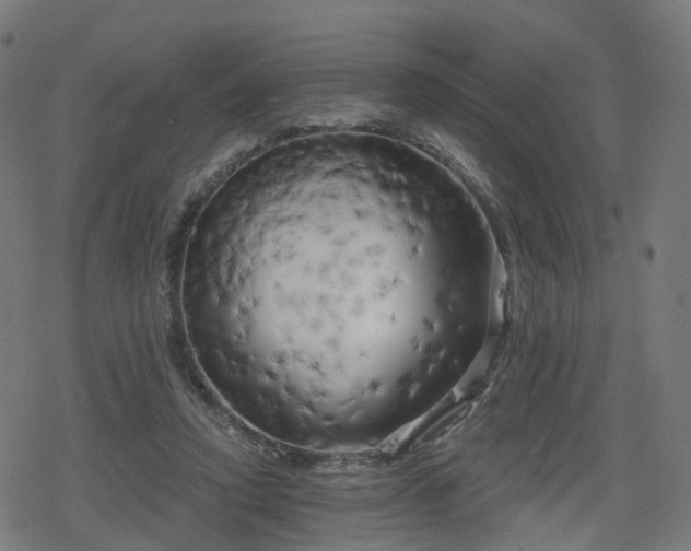 X0000078290354200611101114