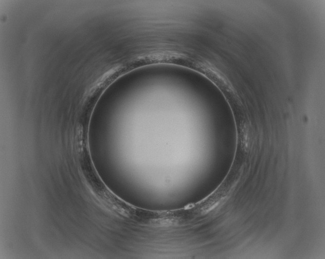 X0000078290356200611101114