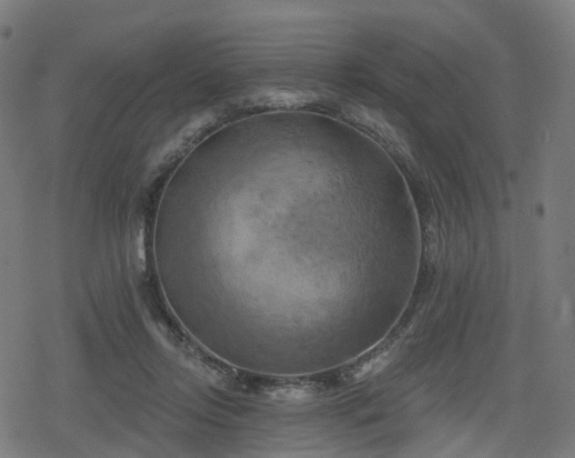 X0000078290358200611101114