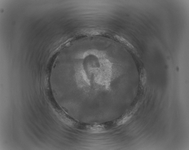 X0000078290359200611101114