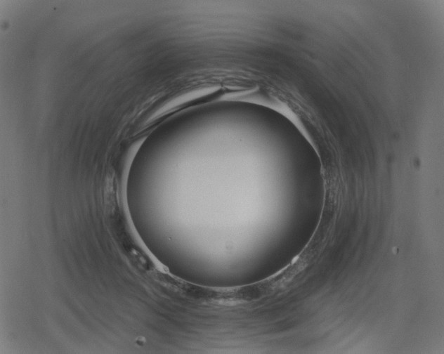 X0000078290360200611101114