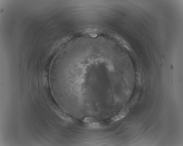 X0000078290361200611101114