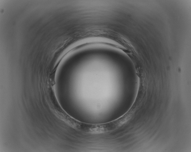 X0000078290362200611101114