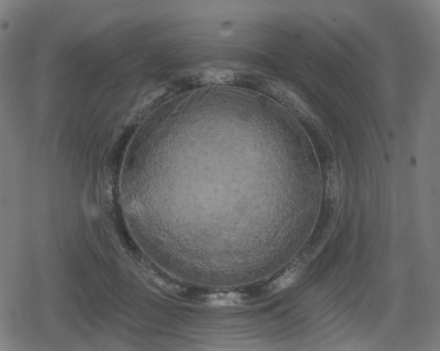 X0000078290363200611101114