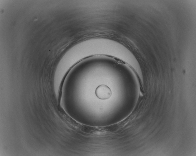 X0000078290364200611101114