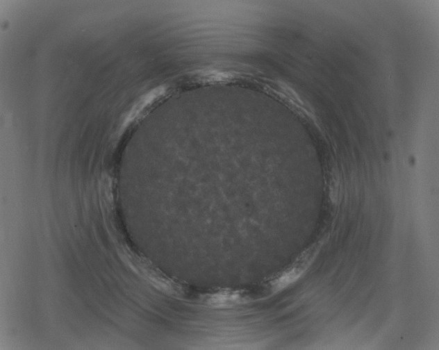 X0000078290366200611101114