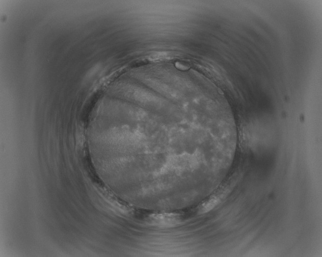 X0000078290367200611101114