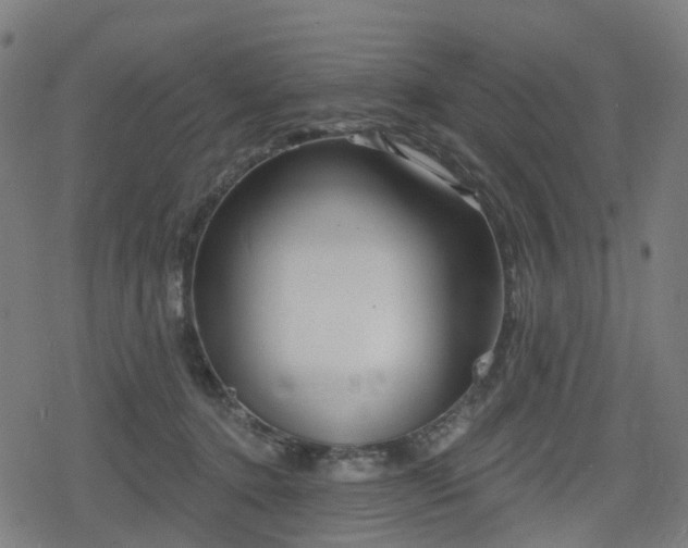 X0000078290368200611101114