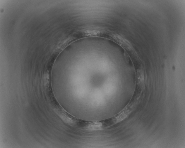 X0000078290369200611101114