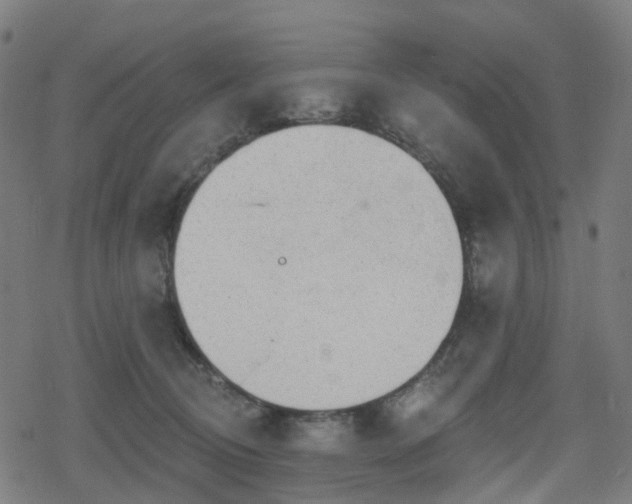 X0000078290370200611101114