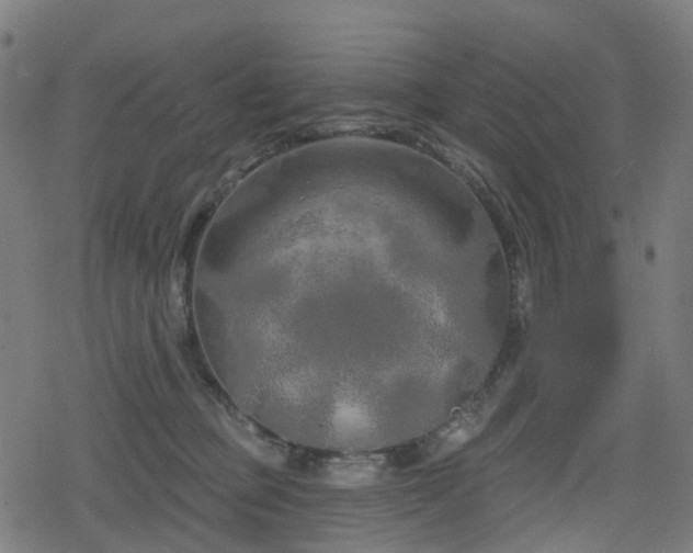 X0000078290373200611101114