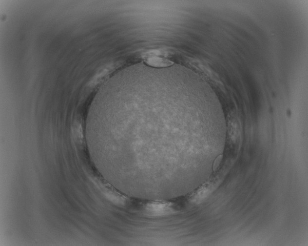 X0000078290375200611101114