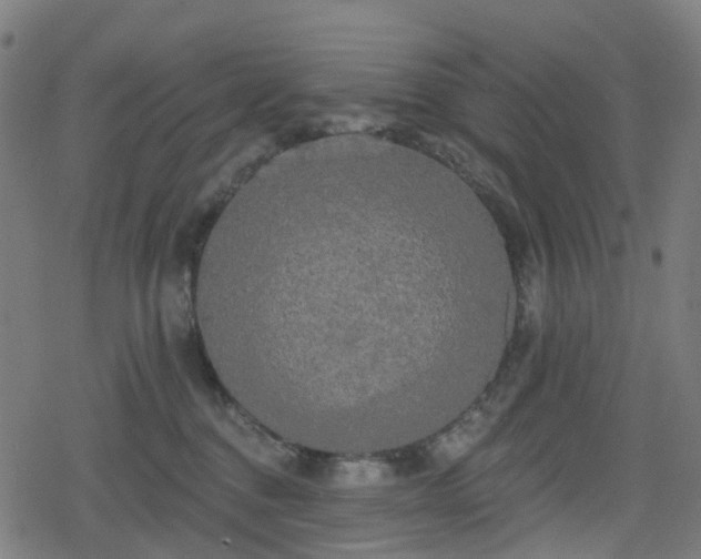 X0000078290376200611101114