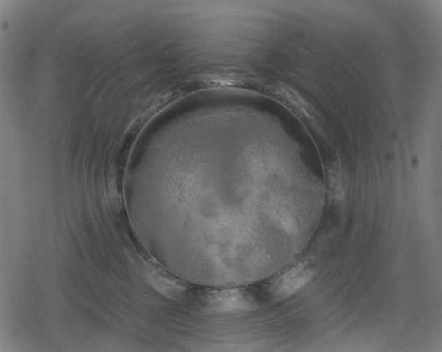 X0000078290377200611101114