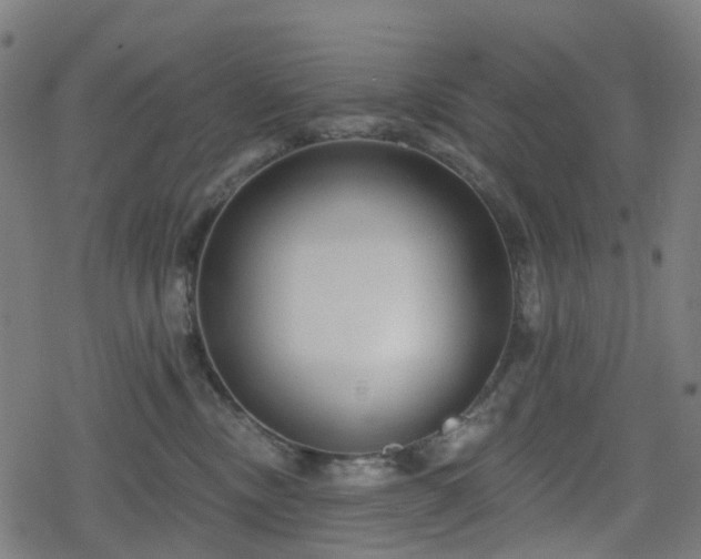 X0000078290378200611101114