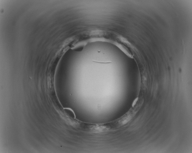 X0000078290379200611101114