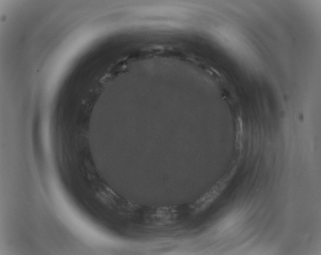 X0000078290383200611101114