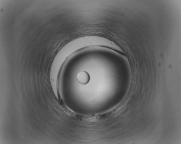 X0000078290384200611101114