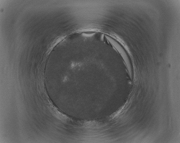 X0000078290385200611101114