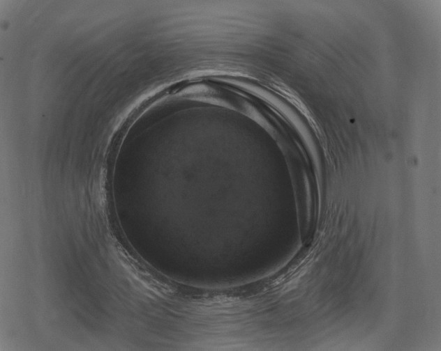 X0000078290387200611101114