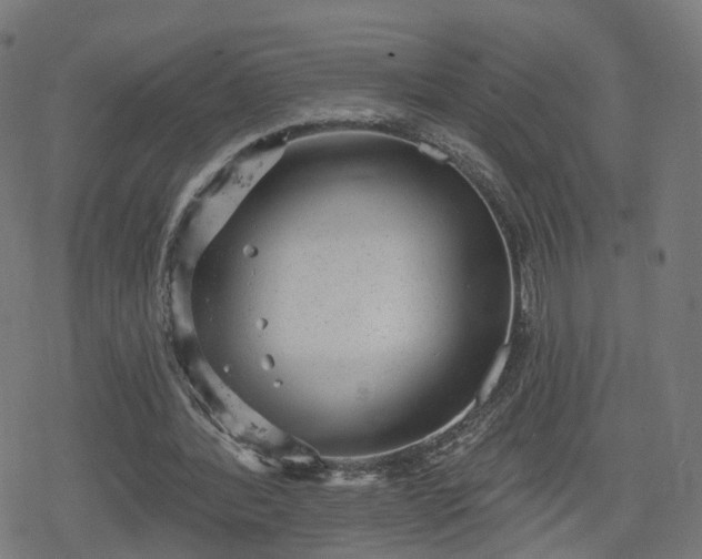 X0000078290388200611101114