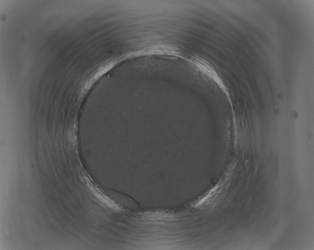 X0000078290389200611101114