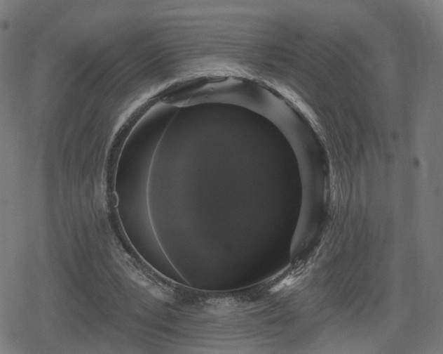 X0000078290391200611101114