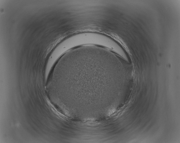 X0000078290393200611101113