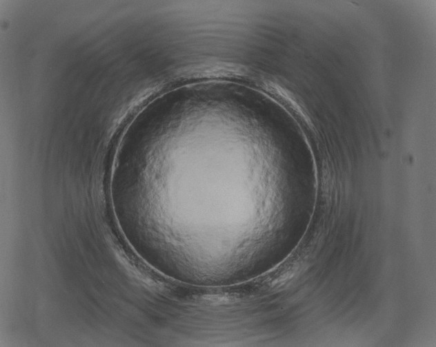 X0000078290394200611101113