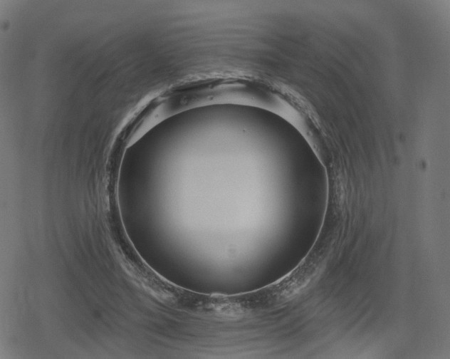 X0000078290395200611101113