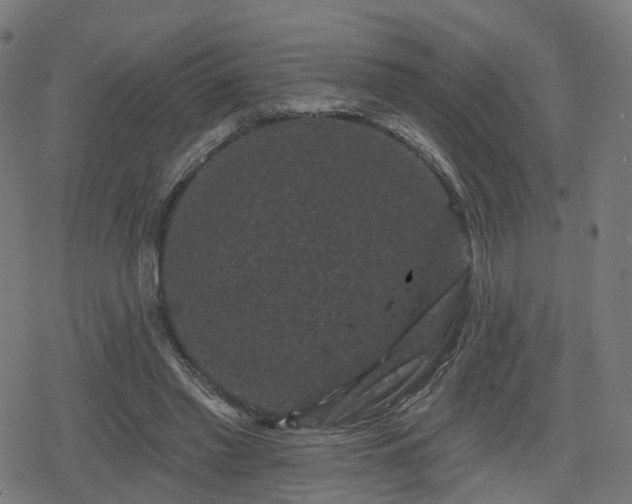 X0000078290397200611101113