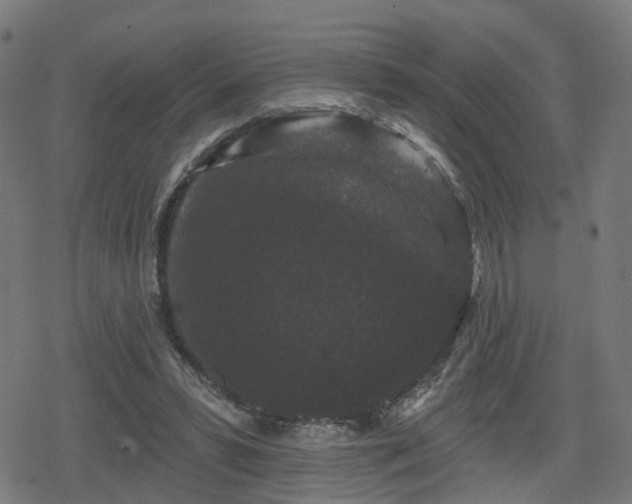 X0000078290399200611101113