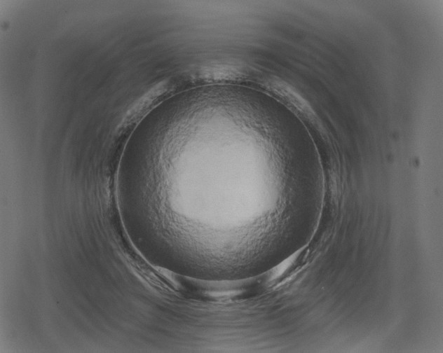 X0000078290401200611101113