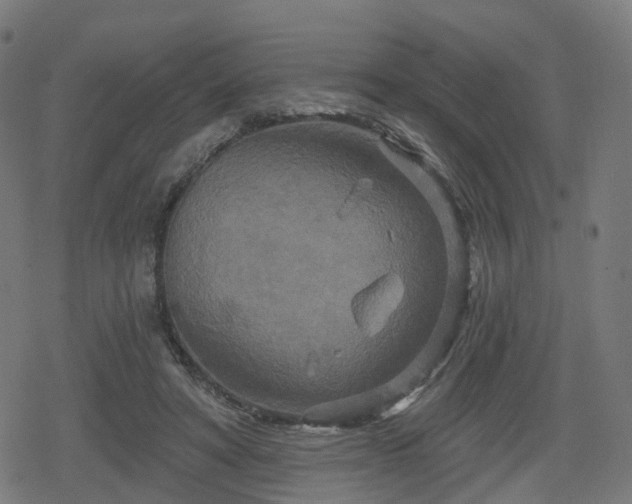 X0000078290402200611101113