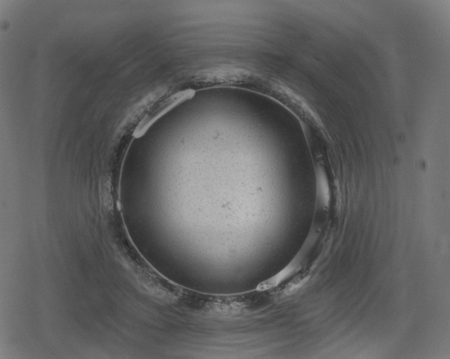 X0000078290403200611101113